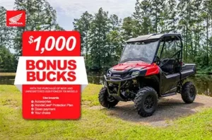 Read more about the article Bonus Bucks